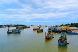 Kỳ thú chuyện biển