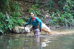 Mưu sinh dưới tán rừng Trường Sơn
