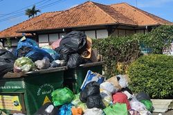 Nhà máy xử lý rác ngưng hoạt động, Đà Lạt ngập ngụa chất thải