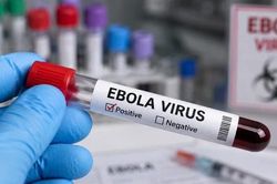 Chạy đua phát triển vaccine ngăn chặn Ebola chủng hiếm tại châu Phi