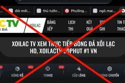 Hệ lụy từ bóng đá mùa World Cup