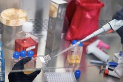 Vaccine ung thư cá thể hóa gây chú ý: Tăng tỉ lệ sống sót sau khi điều trị