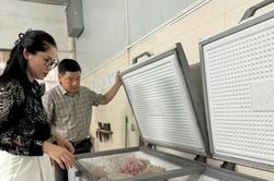 Siết quản lý thực phẩm bẩn: Có thể phong tỏa kho hàng và cưỡng chế khẩn cấp