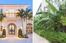 Kinh nghiệm người xưa: 'Trước cau, sau chuối', có ý nghĩa gì?