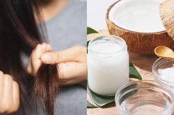 Đừng vội cắt tóc hỏng: Những bí quyết giúp tóc khô xơ 'hồi sinh' nhanh chóng