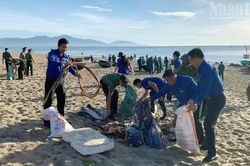 Hơn 1.500 tình nguyện viên ra quân làm sạch biển Sơn Trà, gỡ gần 100 kg lưới ma