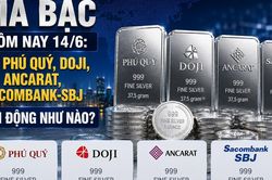 Gi&aacute; bạc h&ocirc;m nay 14/6: Bạc Ph&uacute; Qu&yacute;, Doji, Ancarat, Sacombank-SBJ biến động như n&agrave;o?