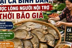 Loại cá bình dân được lòng người nội trợ thời bão giá