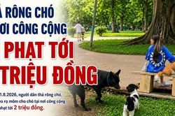 Thả rông chó ở nơi công cộng bị phạt tới 2 triệu đồng