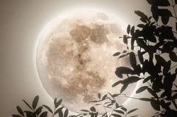 Trăng Non Song Tử ngày 15/6: Vũ trụ gửi bạn một 'trang giấy trắng' để viết ra điều ước