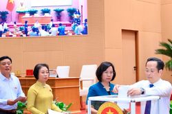 Hà Nội tăng mức xử phạt với 28 hành vi vi phạm an ninh trật tự và giao thông đường bộ
