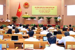 Hà Nội xem xét thành lập Sở An toàn thực phẩm