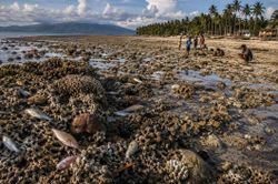 Động đất ở Philippines nâng đáy biển lên thêm 2 m