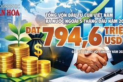 Việt Nam đầu tư ra nước ngoài 5 tháng đầu năm 2026 đạt 794,6 triệu USD, tăng gấp 2,5 lần