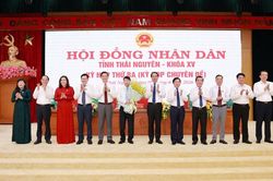 Ph&ecirc; chuẩn Ph&oacute; Chủ tịch UBND tỉnh Th&aacute;i Nguy&ecirc;n