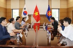 Thúc đẩy các tổ chức, doanh nghiệp Hàn Quốc hợp tác đầu tư vào Gia Lai
