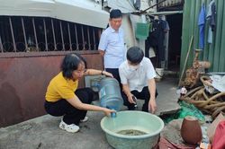Cảnh b&aacute;o diễn biến kh&oacute; lường của sốt xuất huyết