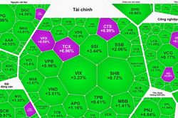 Nhóm cổ phiếu chứng khoán bứt phá, VN-Index tăng trở lại