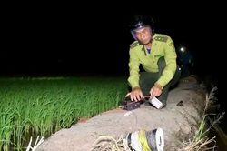 Đồng Th&aacute;p tăng cường tuần tra, ngăn chặn săn bắt tr&aacute;i ph&eacute;p chim hoang d&atilde;