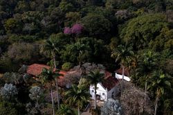 Sítio Roberto Burle Marx- khu vườn kiệt tác của nhân loại