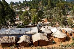 Số ca nhiễm Ebola tăng lên con số 782, Chính phủ CHDC Congo chạy đua khống chế dịch bệnh
