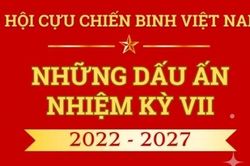 [Infographic] Dấu ấn nhiệm kỳ VII, hướng tới Đại hội VIII Hội CCB Việt Nam