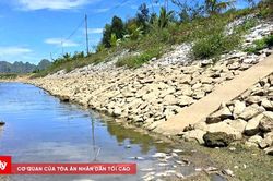 Người d&acirc;n lo lắng trước hiện tượng c&aacute; chết ở đập thủy lợi