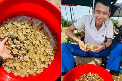 Đặc sản có từ Nam ra Bắc, tên nghe béo ngậy, thịt giòn, bùi như trứng gà