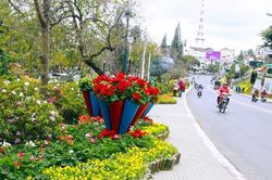 Đà Lạt rực rỡ sắc hoa và âm nhạc trong kỳ Festival Hoa năm 2026