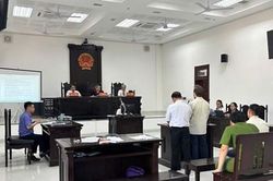 Phối hợp xét xử vụ vận chuyển vũ khí quân dụng và tổ chức nhập cư trái phép