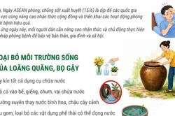 Ngày ASEAN phòng, chống sốt xuất huyết: 3 việc cần làm để phòng bệnh hiệu quả