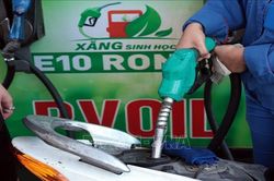 Tăng cường kiểm tra, giám sát chất lượng xăng sinh học E10