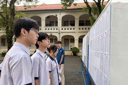 TP Hồ Chí Minh: Điểm thi vào lớp 10 dự kiến sẽ được công bố vào chiều 19/6