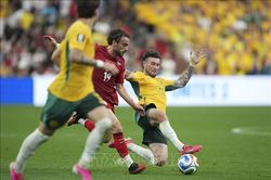 World Cup 2026: Những quyết định táo bạo của HLV Australia mang lại trái ngọt