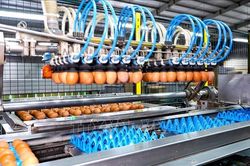 Gỡ điểm nghẽn để nông nghiệp công nghệ cao cất cánh