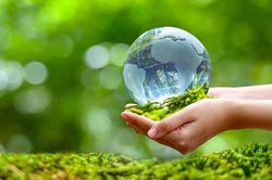 Sửa Luật Bảo vệ môi trường: Mở đường cho tăng trưởng xanh