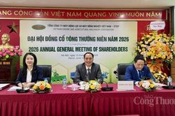 VEAM báo lãi 7.006 tỷ đồng, nhiều đơn vị thành viên phục hồi tích cực