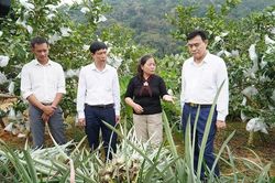 Chuyển mạnh sang sản xuất n&ocirc;ng nghiệp xanh