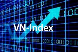VN-Index đi lên, vì sao nhà đầu tư vẫn khó kiếm tiền?