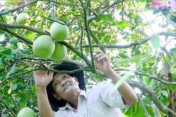 Xây dựng điểm đến hoàn chỉnh