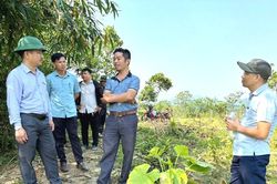 Xoay xở bố trí nguồn nhân lực cấp xã
