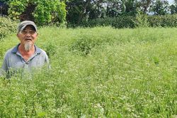 Những người giữ hương tháng Năm