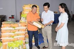 Đồng Tháp: Đẩy mạnh hỗ trợ phát triển tài sản trí tuệ