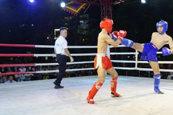 Khai mạc môn kickboxing Đại hội TDTT và Giải vô địch trẻ kickboxing tỉnh Gia Lai 2026