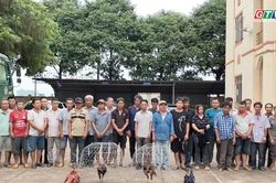 Gia Lai: Đột kích sới gà quy mô lớn, bắt giữ 31 đối tượng
