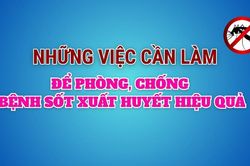 Những việc cần làm để phòng, chống bệnh sốt xuất huyết hiệu quả