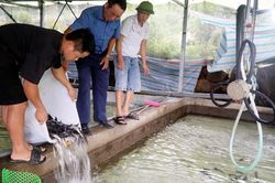 Bàn giao giống cá tầm cho 2 hộ dân tại xã Tả Lèng