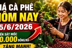 Giá cà phê hôm nay 15/6: Tiếp tục tăng trong ngày đầu tuần?