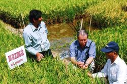 Người gieo chữ trên ruộng đồng