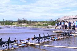 'Đánh thức' vùng cát